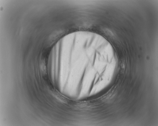 X0000061121252200512091834