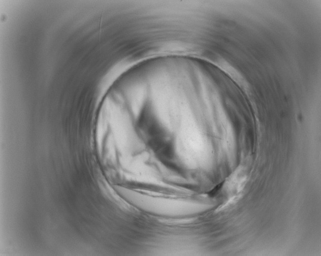 X0000061121296200512091833