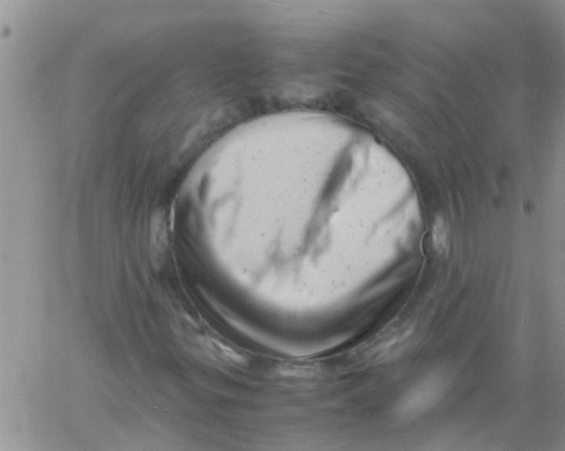 X0000061121299200512091833