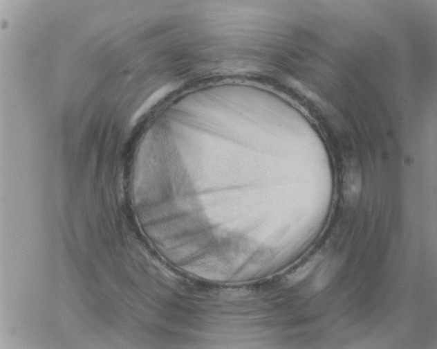 X0000061121306200512091833
