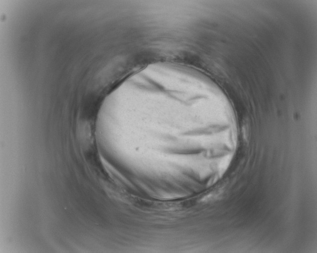 X0000061121347200512091832