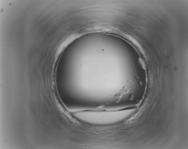 X0000061121373200512091832