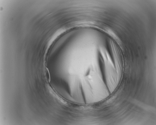 X0000061121384200512091832