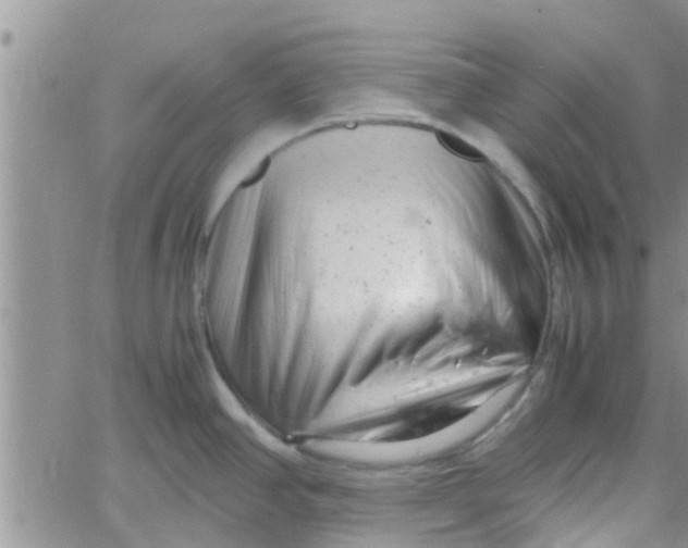 X0000061121390200512091832