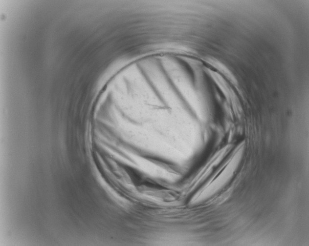 X0000061121391200512091832
