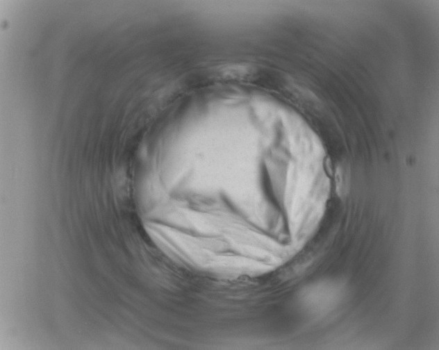 X0000061121395200512091831