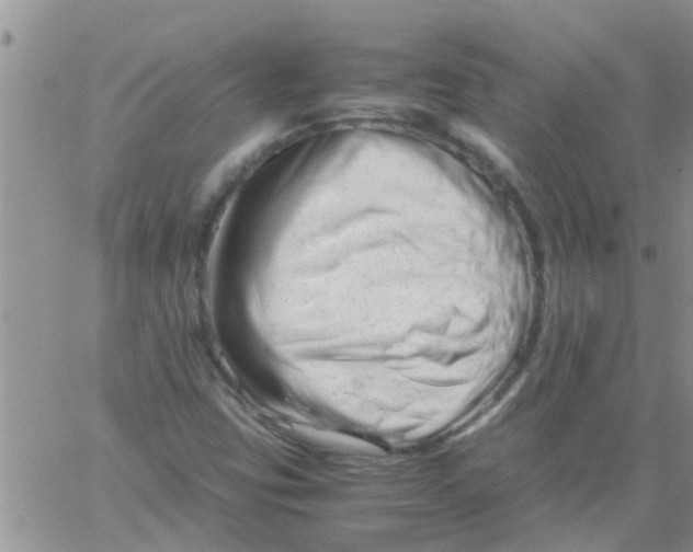 X0000061121403200512091831