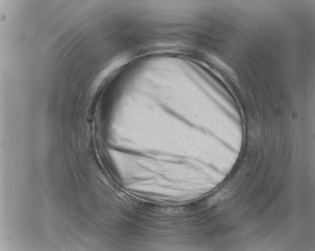 X0000061121411200512091831