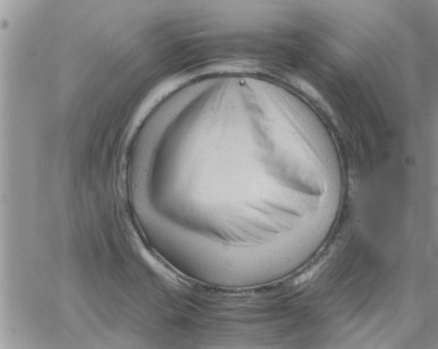X0000061121421200512091831
