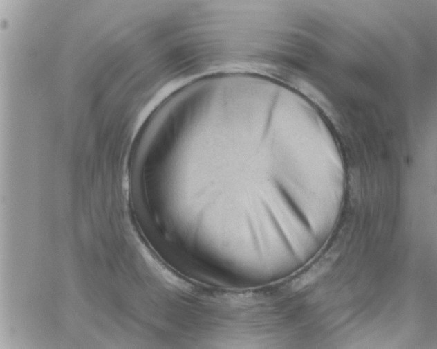 X0000061121428200512091832