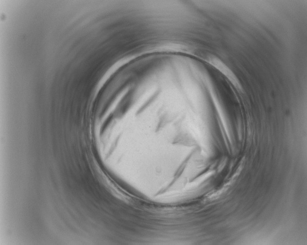 X0000061121436200512091832