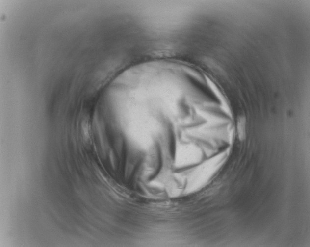 X0000061121444200512091831