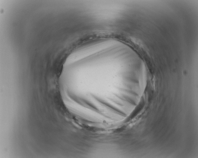 X0000061121445200512091831