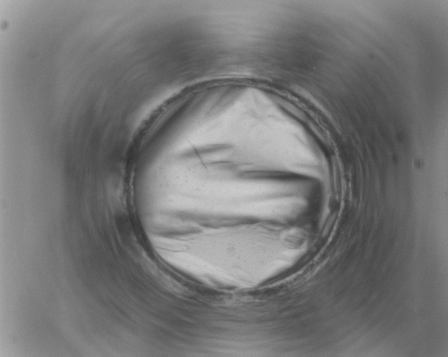 X0000061121452200512091831