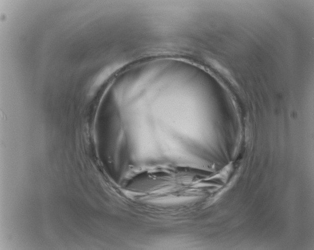 X0000061121453200512091831