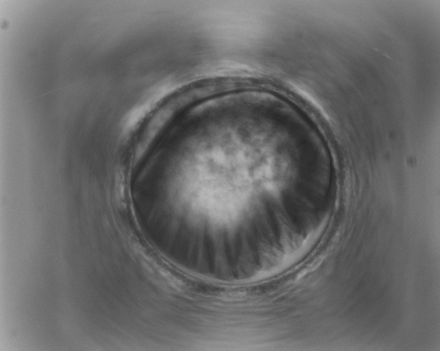 X0000061121455200512091831