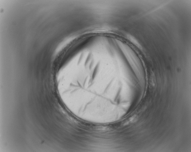 X0000061121456200512091831
