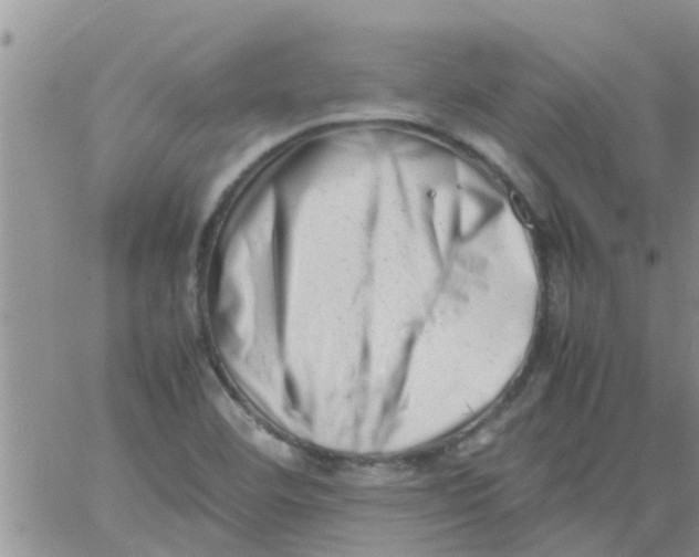 X0000061121460200512091831