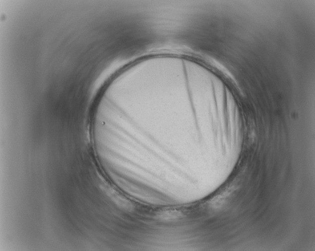 X0000061121462200512091831