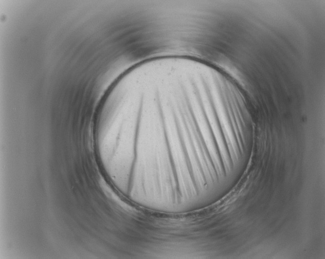 X0000061121468200512091831