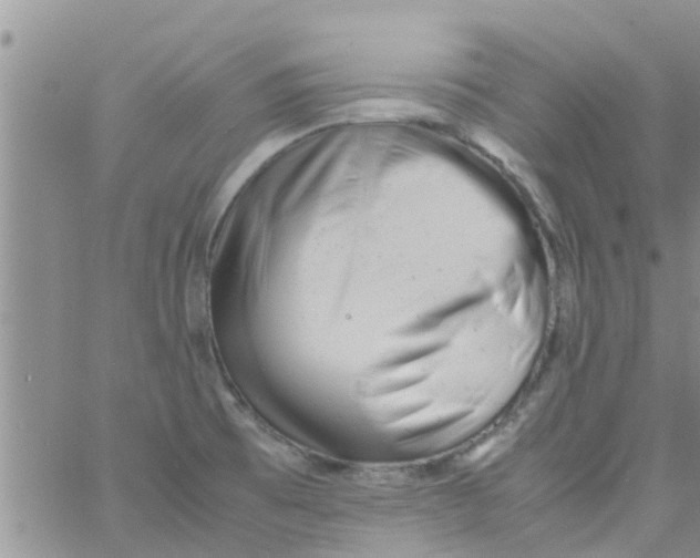 X0000061121473200512091830