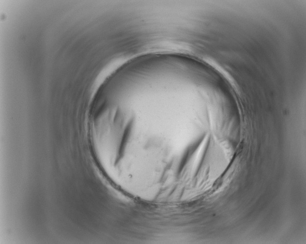 X0000061121477200512091830