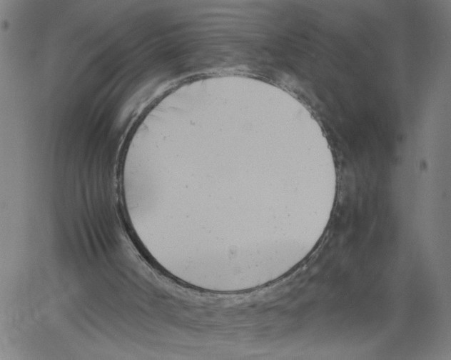 X0000061120002200512161451