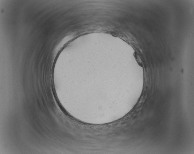 X0000061120003200512161451