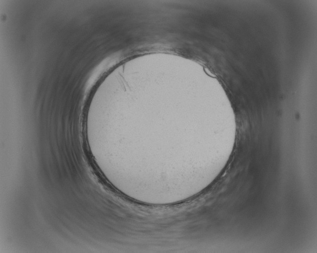 X0000061120006200512161451