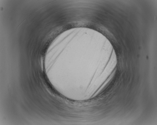 X0000061120022200512161451