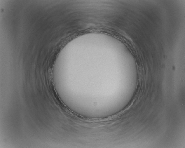 X0000061120029200512161450