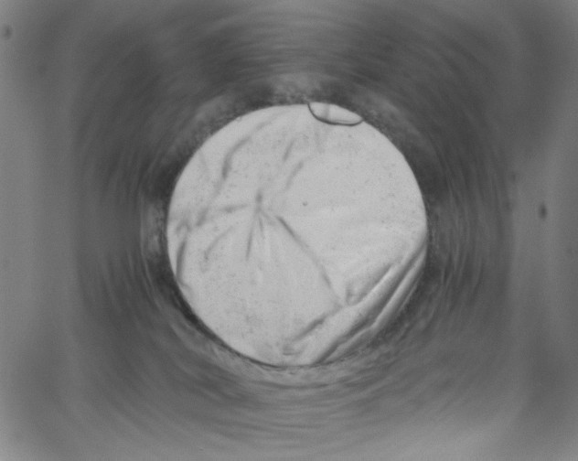 X0000061120038200512161450