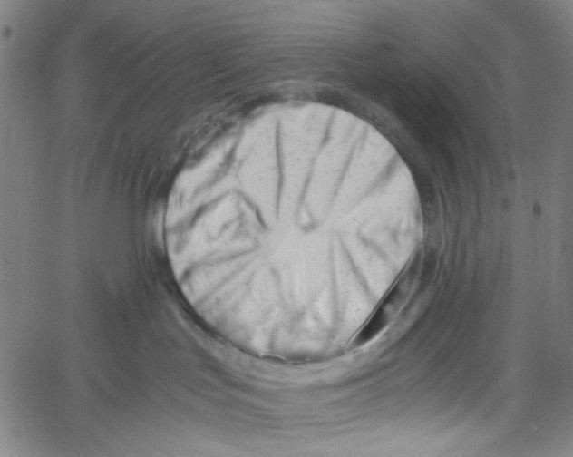 X0000061120047200512161450