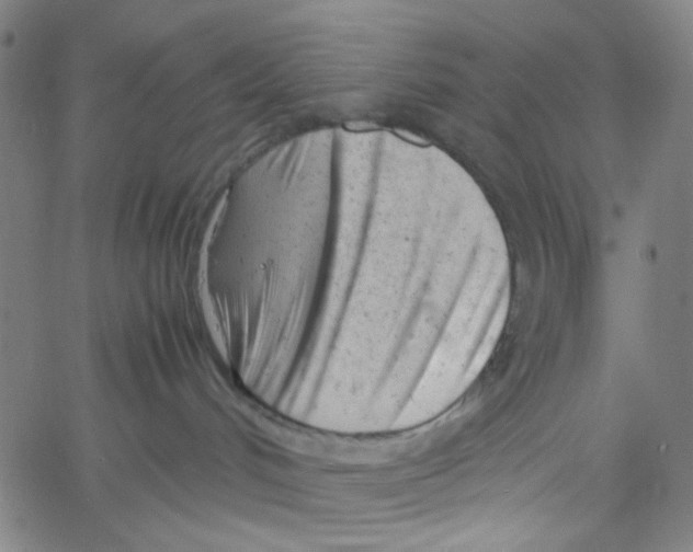 X0000061120048200512161450