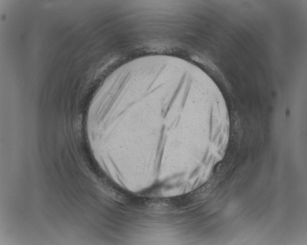 X0000061120066200512161450