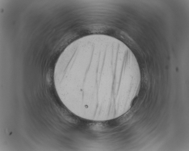 X0000061120074200512161450