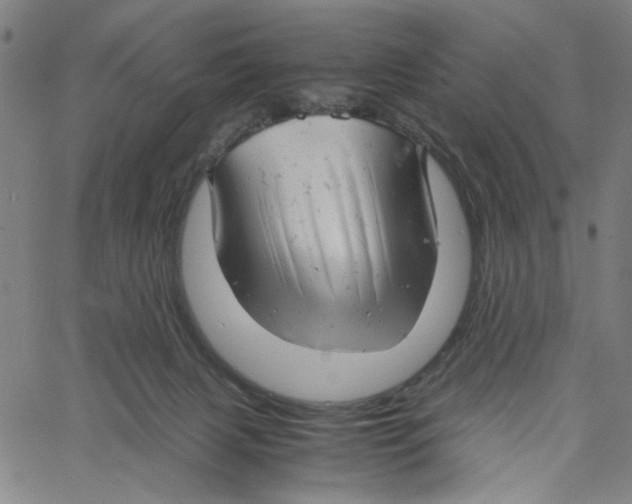 X0000061120079200512161450