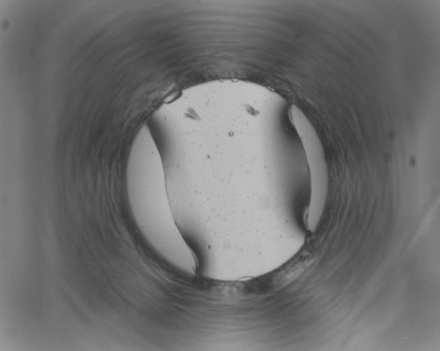 X0000061120080200512161450