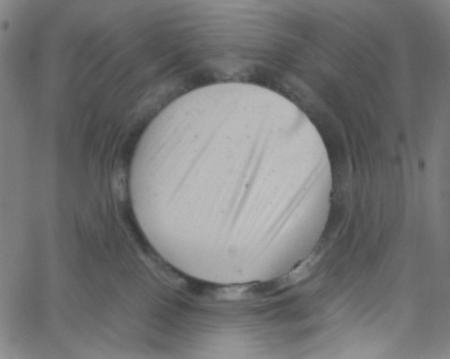 X0000061120090200512161450