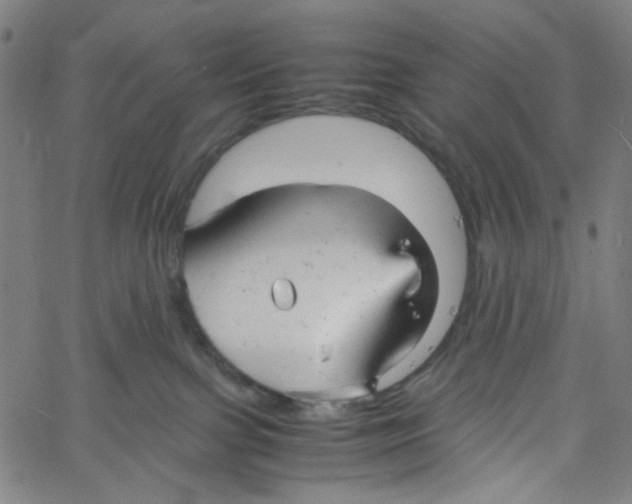 X0000061120091200512161450