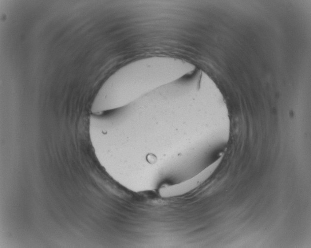 X0000061120092200512161450