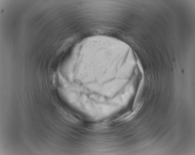 X0000061120094200512161450