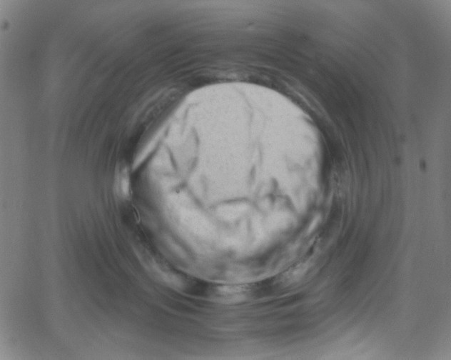 X0000061120095200512161450