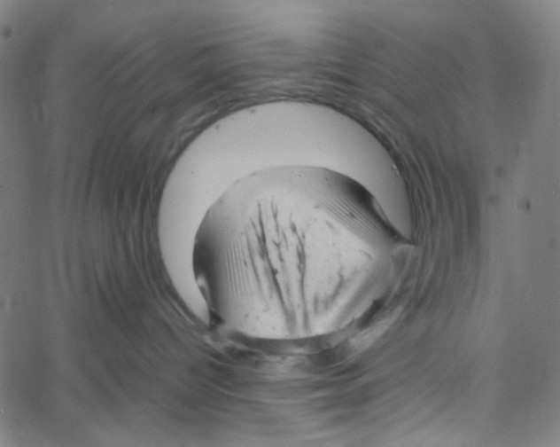 X0000061120096200512161450
