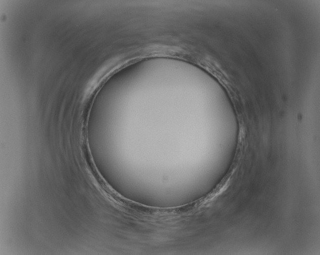X0000061120101200512161449