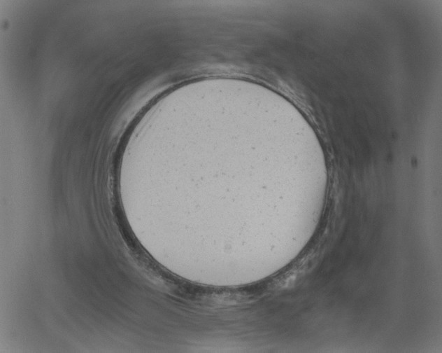 X0000061120103200512161449
