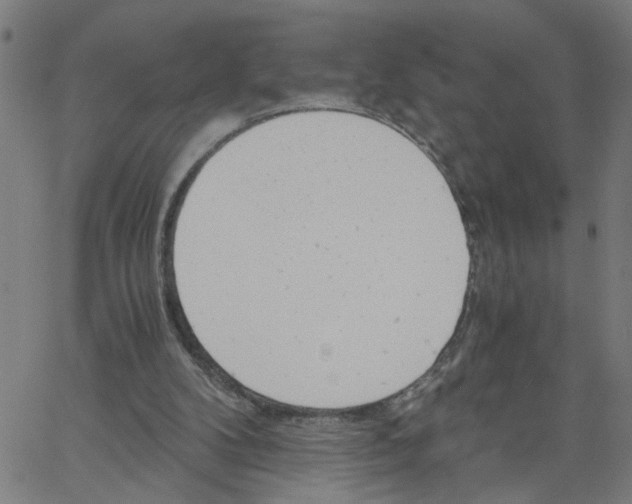 X0000061120104200512161449
