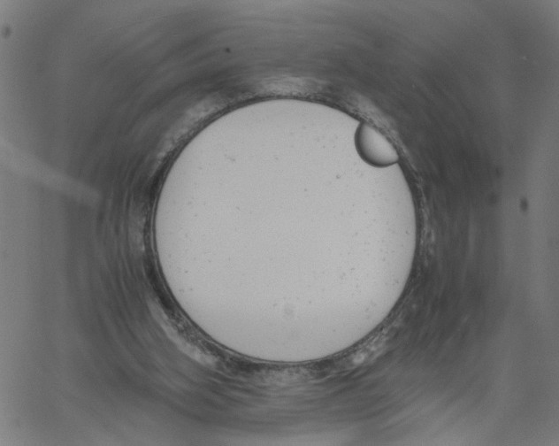 X0000061120106200512161449