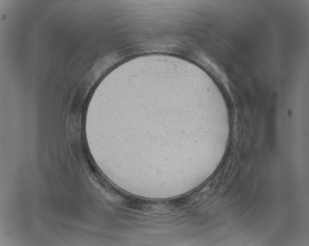 X0000061120107200512161449
