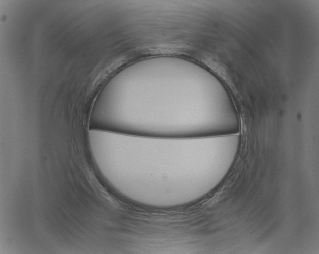 X0000061120109200512161449